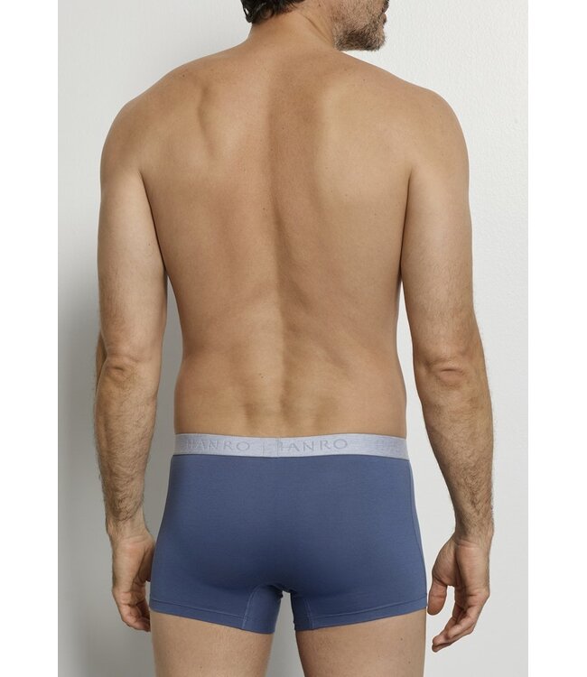 Hanro Cotton Essentials Pants 2-Pack Studio Green | Retro Blue (073078)