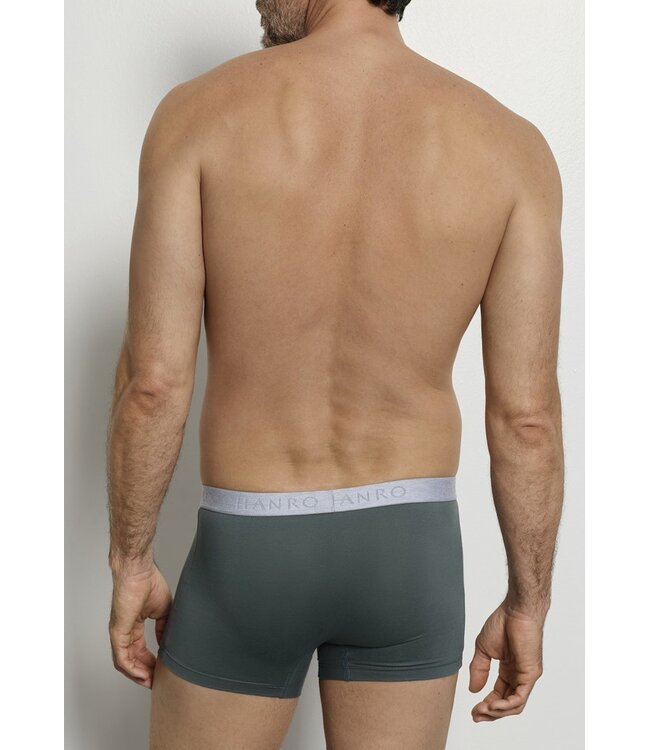 Hanro Cotton Essentials Pants 2-Pack Studio Green | Retro Blue (073078)