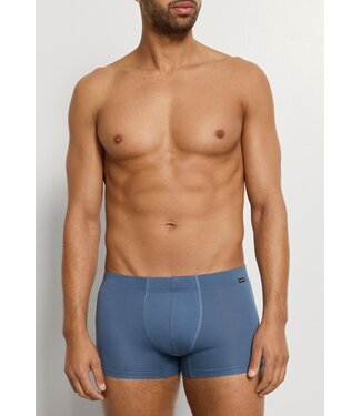 Hanro Cotton Essentials Pants 2-Pack Studio Green | Retro Blue (NEW TREND)