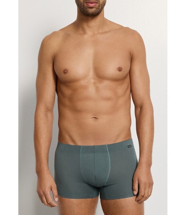 Hanro Cotton Essentials Pants 2-Pack Studio Green | Retro Blue (073079)