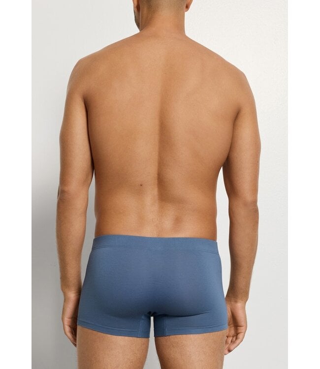 Hanro Cotton Essentials Pants 2-Pack Studio Green | Retro Blue (073079)