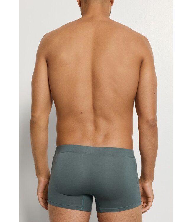 Hanro Cotton Essentials Pants 2-Pack Studio Green | Retro Blue (073079)