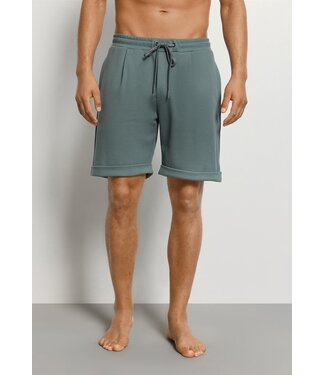 Hanro Travelwear Short Pants Studio Green (NEW TREND)