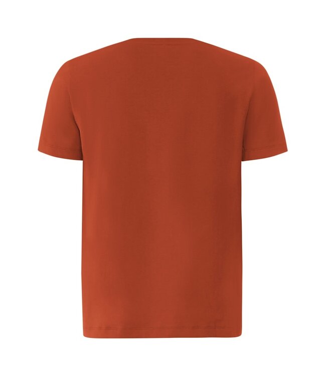 Hanro Living Shirt Rooibos Tea (075050)