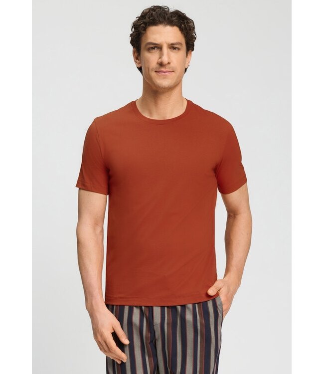 Hanro Living Shirt Rooibos Tea (NEW TREND)