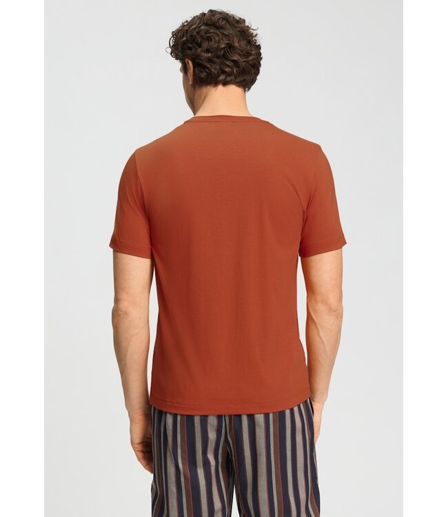 Hanro Living Shirt Rooibos Tea (075050)
