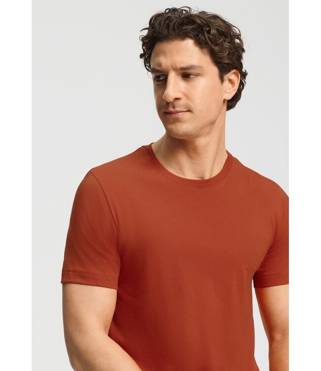 Hanro Living Shirt Rooibos Tea (075050)