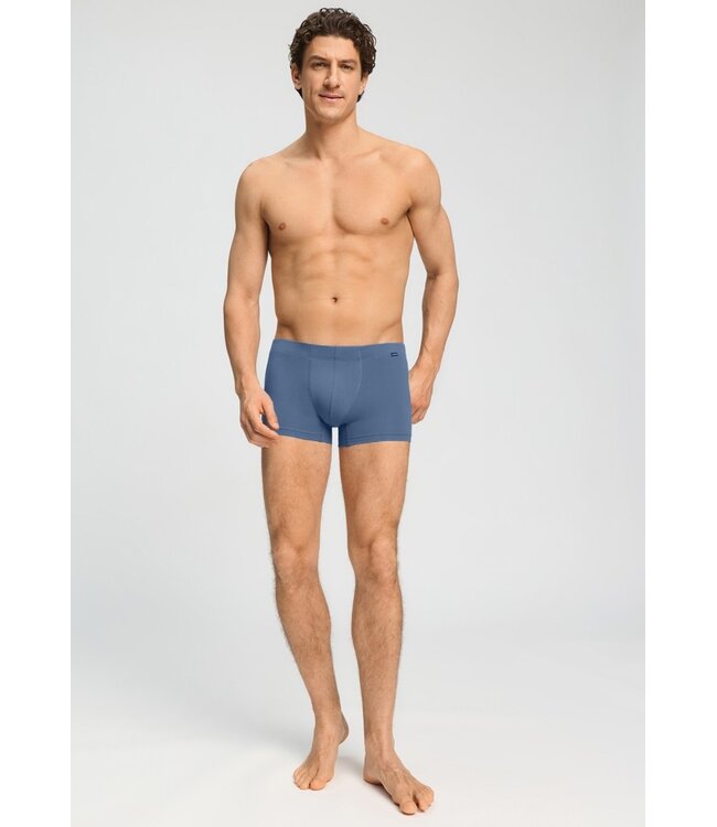 Hanro Cotton Essentials 2-Pack Pants Stormy Gray | Tanzanite (073079)