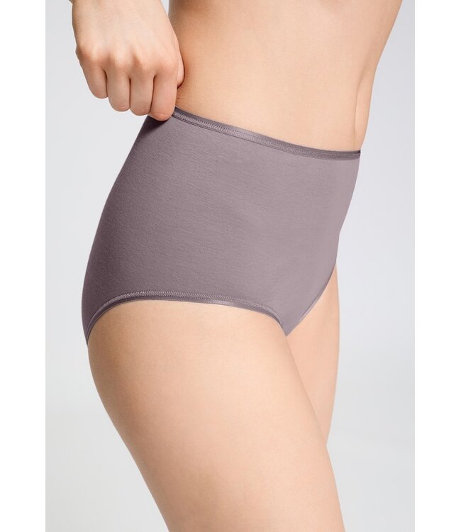 Hanro Cotton Seamless Maxi Brief Stormy Rose (071625)