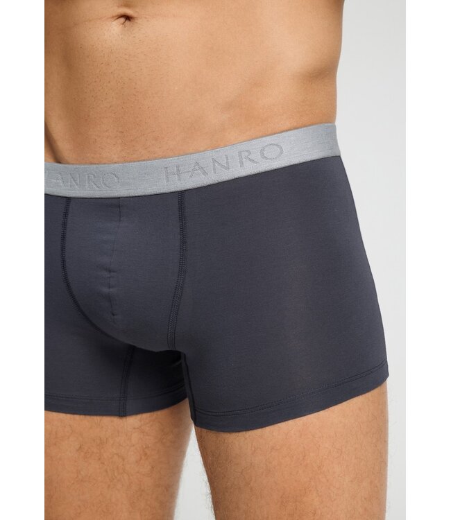 Hanro Cotton Essentials Pants 2-Pack Stormy Gray| Tanzanite (073078)