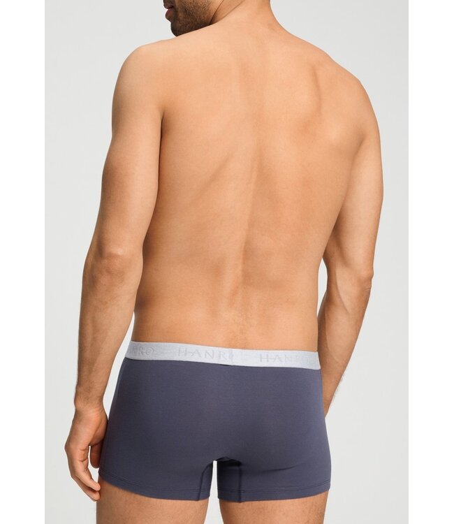 Hanro Cotton Essentials Pants 2-Pack Stormy Gray| Tanzanite (073078)