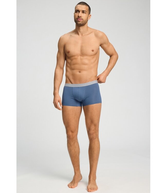 Hanro Cotton Essentials Pants 2-Pack Stormy Gray| Tanzanite (073078)