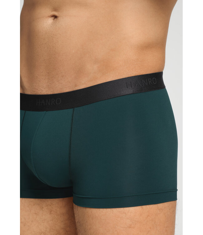 Hanro Micro Touch Pants Pine Leaf (073107)