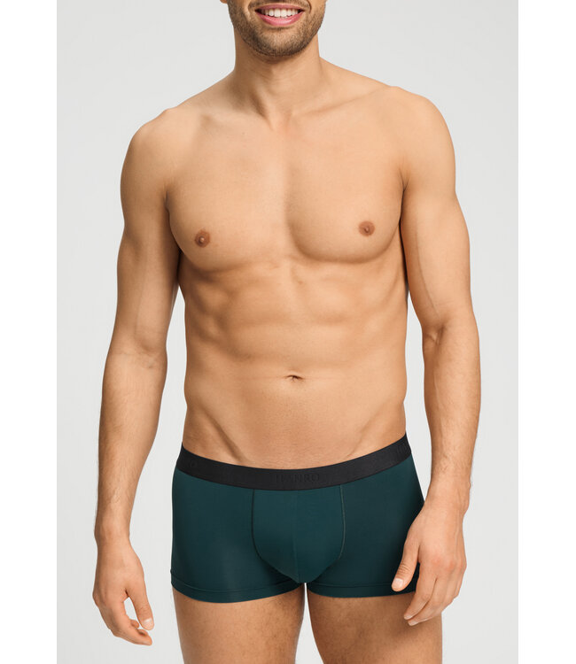 Hanro Micro Touch Pants Pine Leaf (073107)
