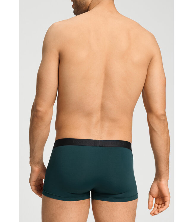 Hanro Micro Touch Pants Pine Leaf (073107)