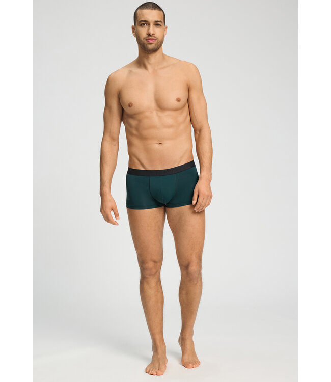 Hanro Micro Touch Pants Pine Leaf (073107)