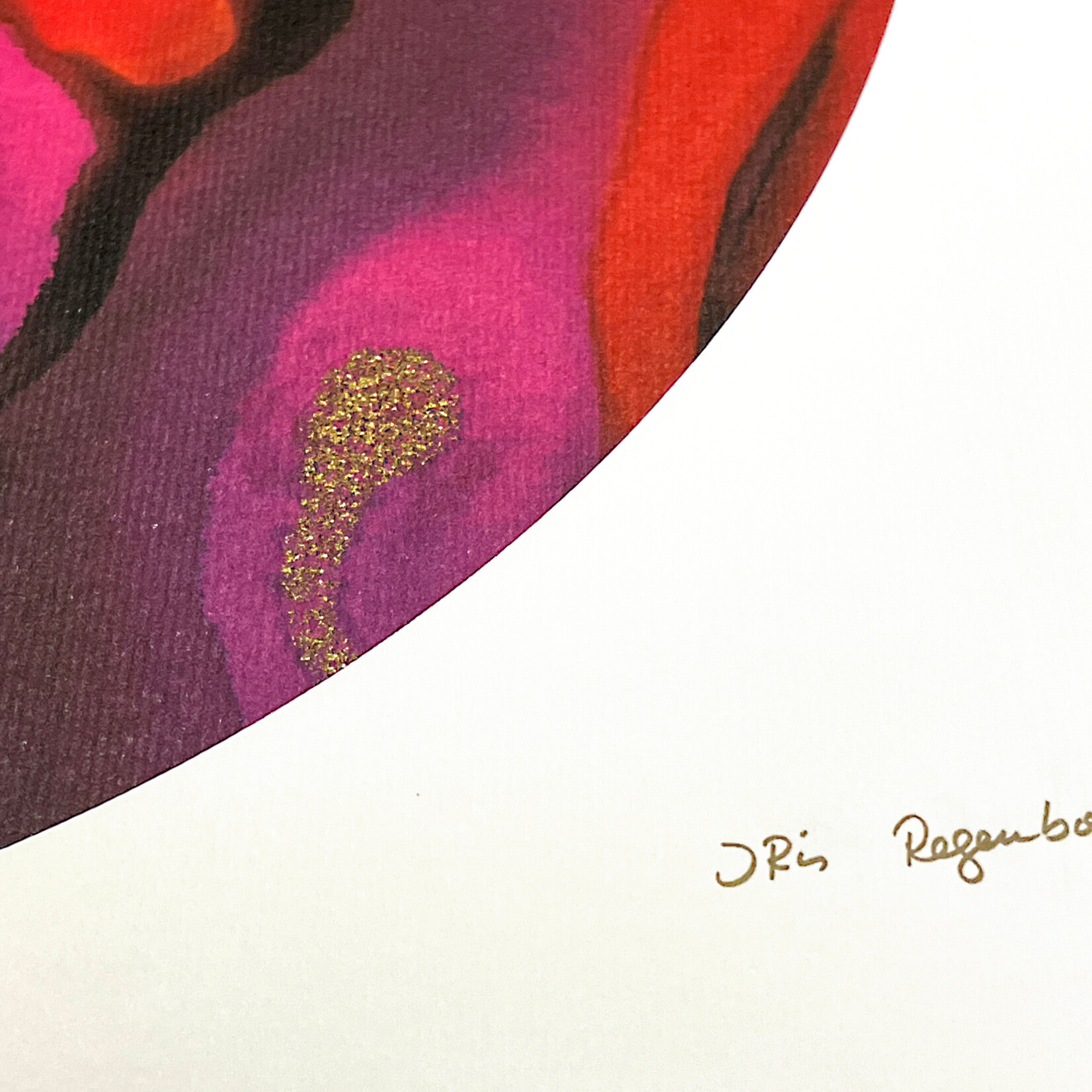 Bildband Iris Regenbogen: Begeisterung - Aus Liebe zum Ziel