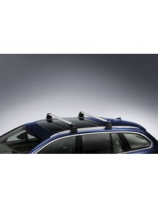 BMW BMW Dakdragers 3 Serie touring G21