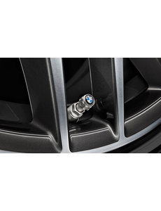 BMW BMW Logo Ventieldoppen Set