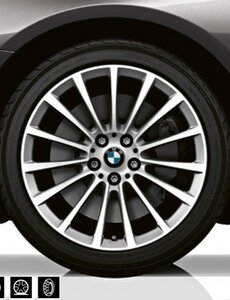 BMW BMW Winterwielset 5 Serie G30/G31 Multi-Spaak 619 (G31PHEV LCI) Hybrid Only