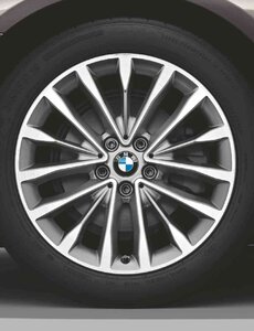 BMW BMW Winterwielset 5 Serie G30/G31-W-Spaak 632