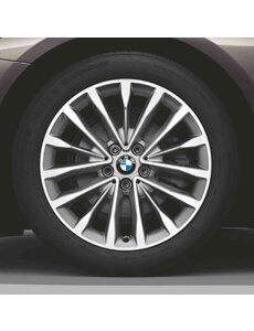 BMW BMW Winterwielset 5 Serie G30/G31 W-Spaak 632