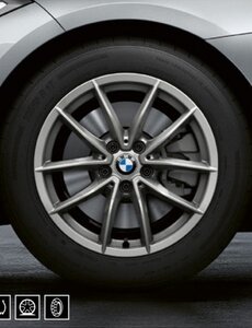 BMW BMW Winterwielset Z4 Roadster (G29) 17” V-spaak 768