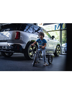 BMW Dusseldorp Trybike