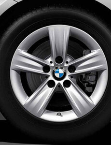 BMW Compl.winterwiel sterspaak Style 391