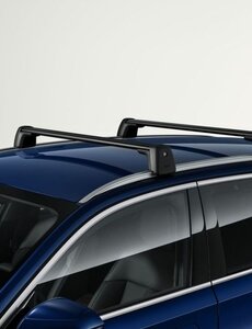 BMW BMW Dakdragers BMW X3 (G45)