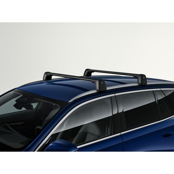 BMW BMW Dakdragers BMW X3 (G45)