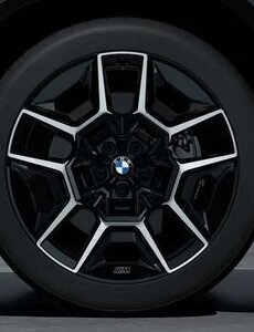 BMW BMW Winterwielset XM Serie G09 Styling 922M  Jet Black Mat