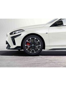 BMW BMW Winterwielset 1 Serie F70, 2 Serie Gran Coupe F74  Y-spaak 975