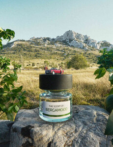 BMW BMW Fragrance, The Scent of Bergamood Eau de Parfum 50ml