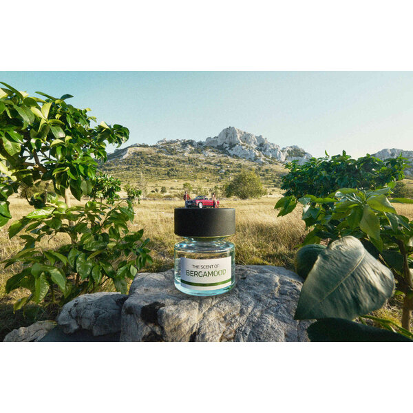 BMW BMW Fragrance, The Scent of Bergamood Eau de Parfum 50ml