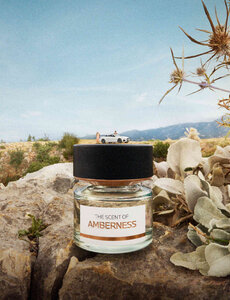 BMW BMW Fragrance, The Scent of Amberness Eau de Parfum 50ml