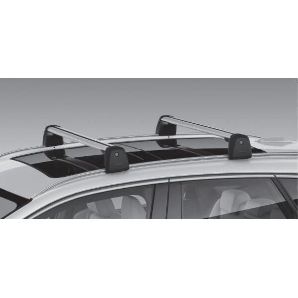 BMW DEMO BMW Dakdragers 2 Serie Active Tourer U06