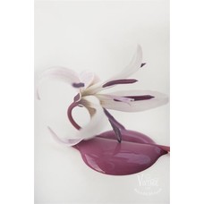 Jeanne d'Arc Living Vintage Paint , Vintage red