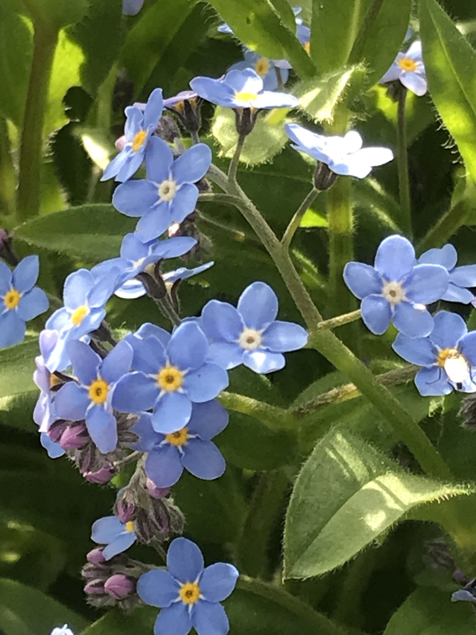 Endlich Frühling!