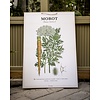 Strömshaga Poster Honeysuckle( Geissblatt), Caraway( Kümmel), Carrot von Strömshaga