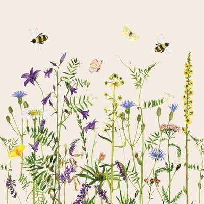 IB Laursen Serviette Summer Field 50 Stck von IB Laursen