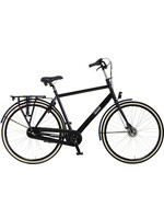 Pointer Pointer Solara Men