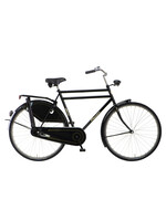 Pointer Pointer Glorie De Luxe Heren