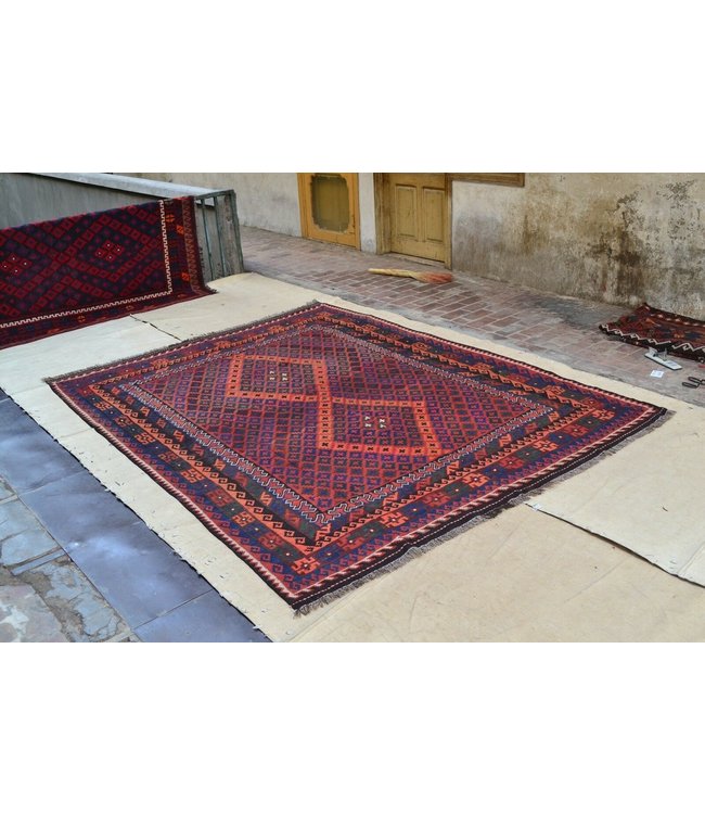 Hand Woven Afghan Wool Kilim Area Rug 303 x 235 cm