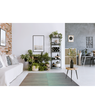 Handgewebte Modern Wolle Kelim Teppich291x241cm