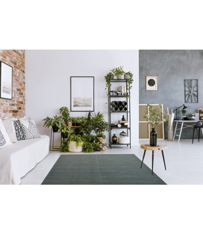 (8'x5'75 )-Feet kelim rug  244x175 cm