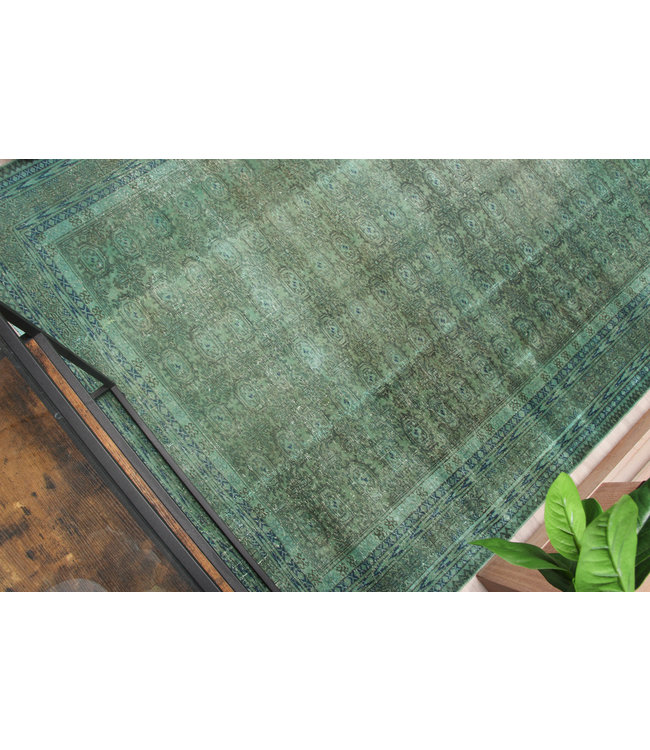 Yorenja Rug 288x197 cm