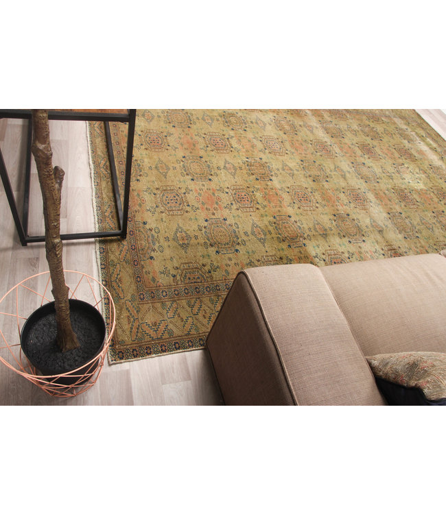 Takht Khaki Rug 298x203 cm