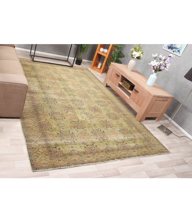 Takht Khaki Rug 298x203 cm