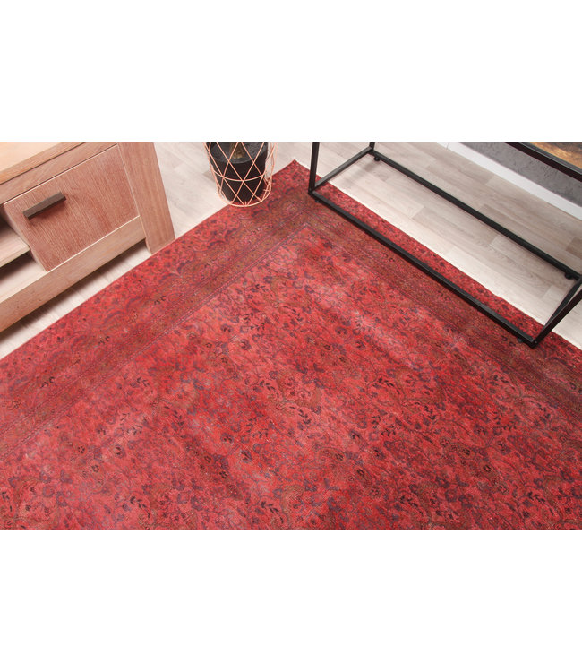 Rozek Rug 290x198 cm